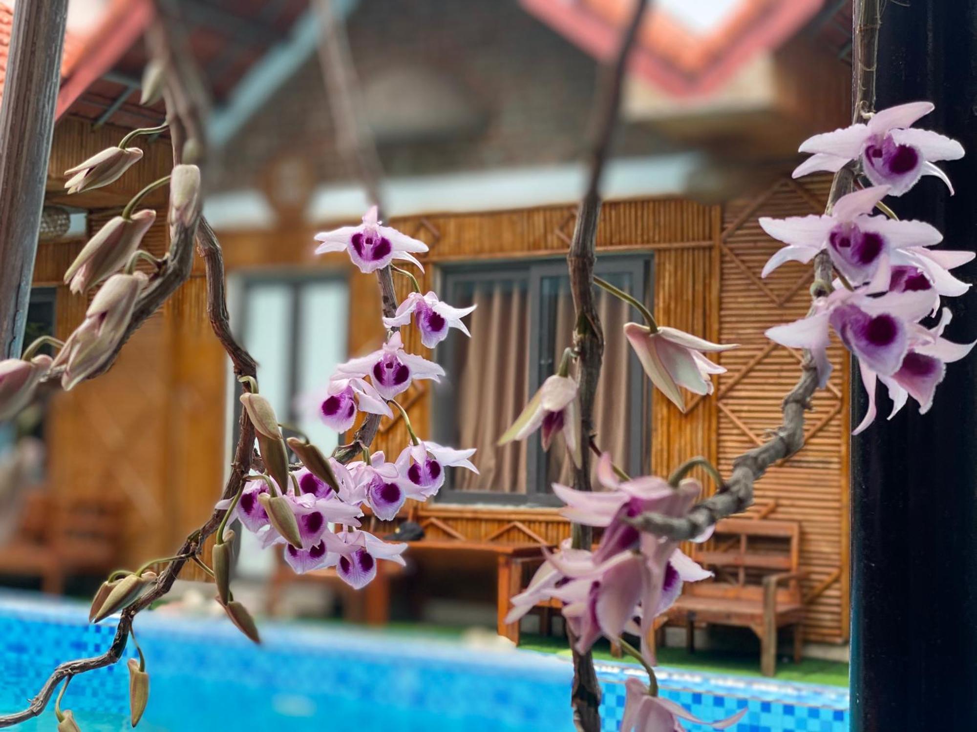 Tam Coc Charming Bungalow Ninh Binh Exterior foto