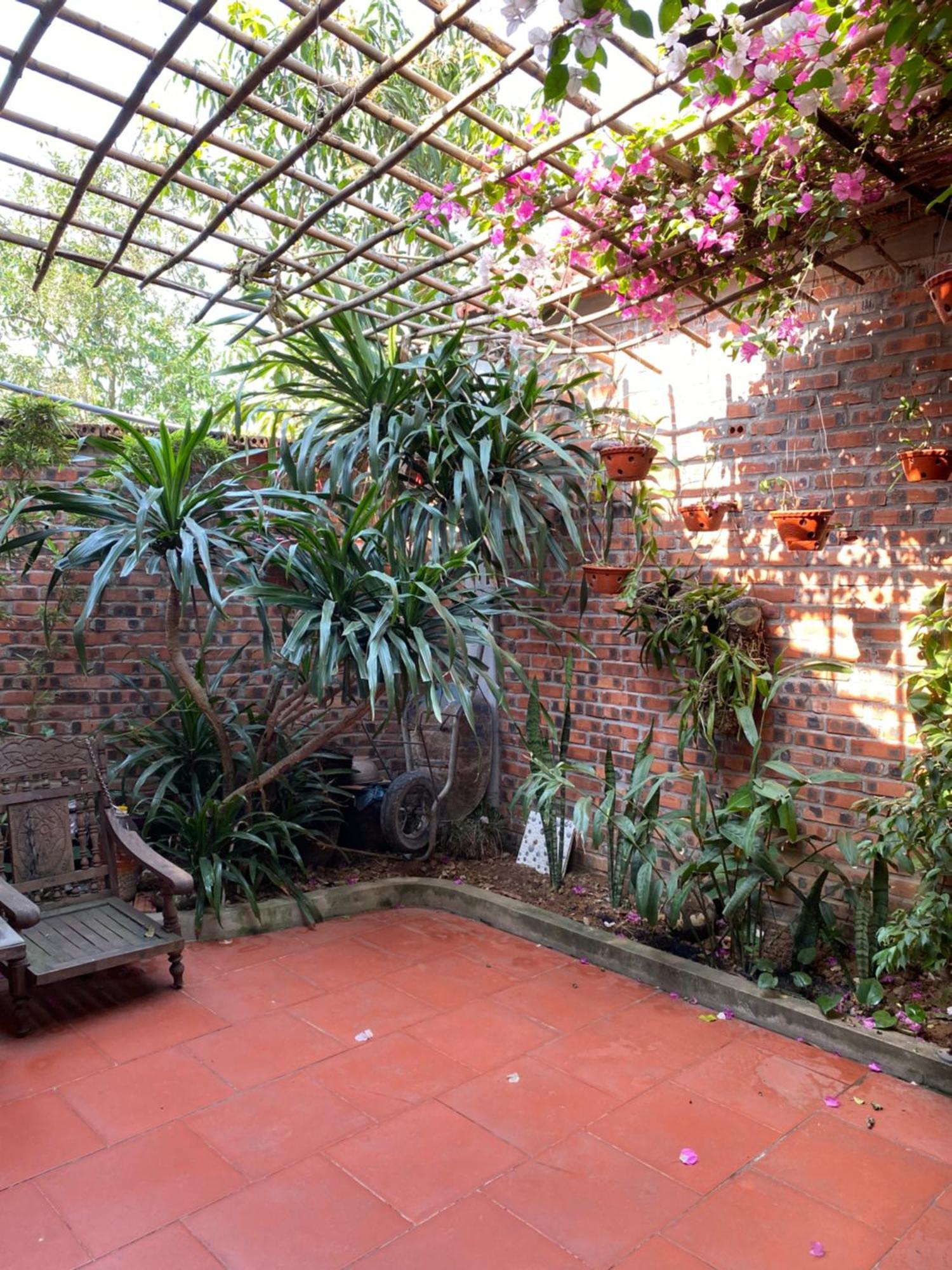 Tam Coc Charming Bungalow Ninh Binh Exterior foto